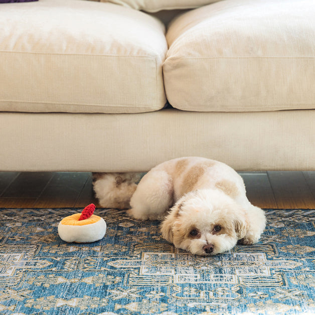 Small fluffy dog resting on a blue patterned washable pet rug beside a cream sofa.