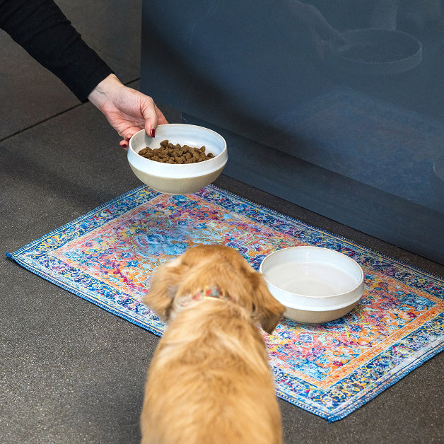 Person offering a kibble bowl to a golden dog beside a water bowl on a patterned dog feeding mat.